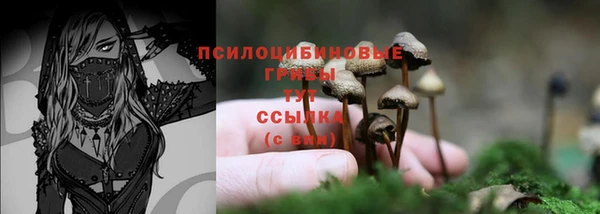 стафф Арсеньев