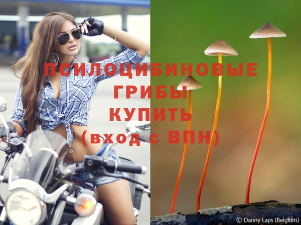 гашик Армянск