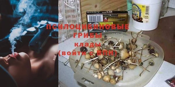 стафф Арсеньев